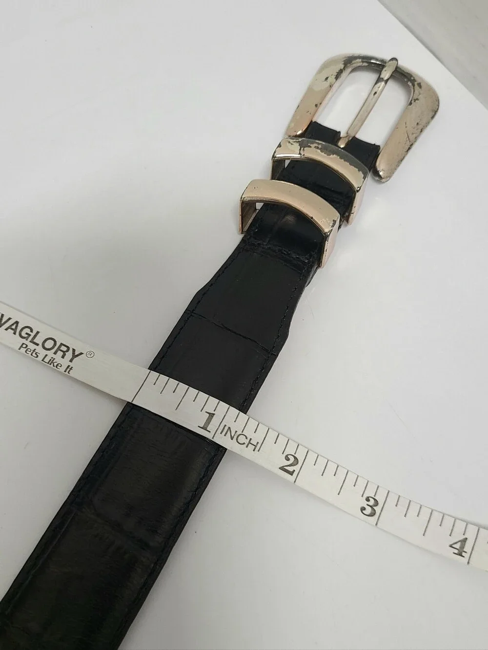 Brighton premium croc